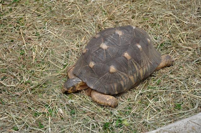 min 2013 07 06 beauval 172